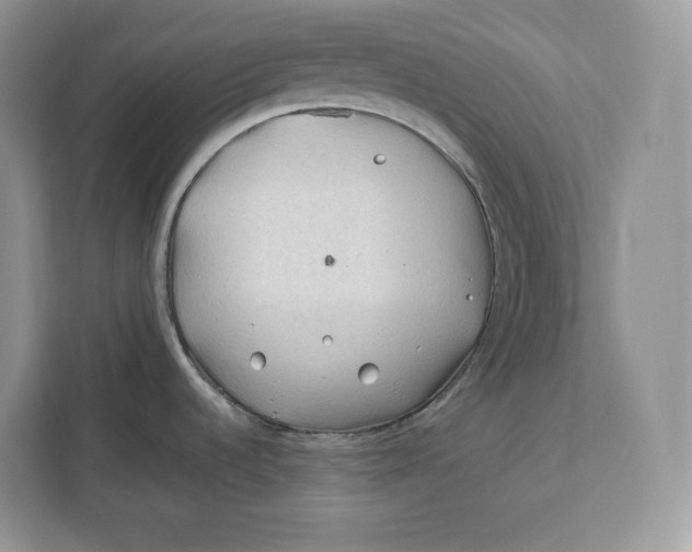 X0000112211536200908281449