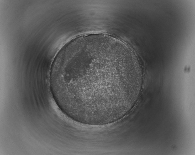 X0000112210002200909041352