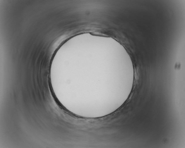 X0000112210003200909041352