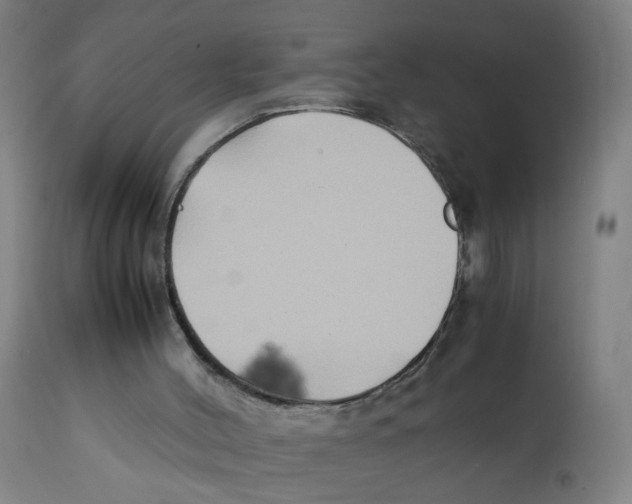 X0000112210004200909041352