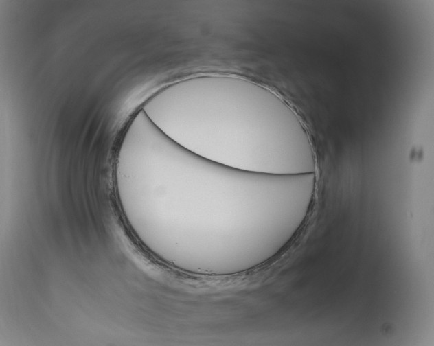 X0000112210005200909041352