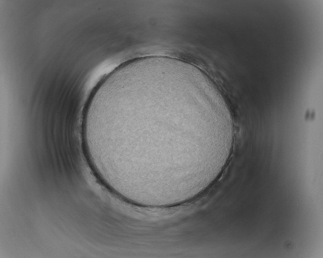 X0000112210006200909041352