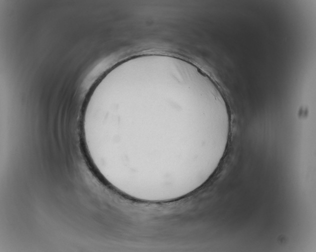 X0000112210007200909041352