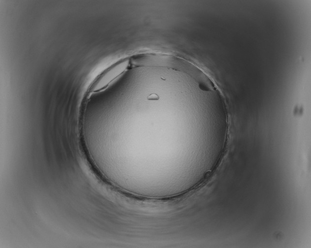 X0000112210008200909041352