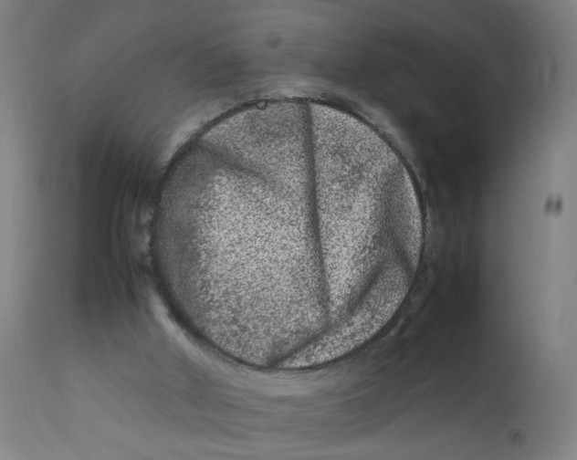 X0000112210010200909041352