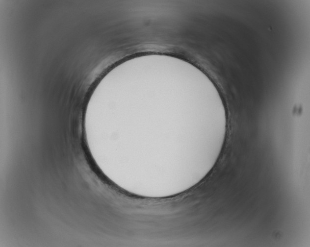 X0000112210011200909041352