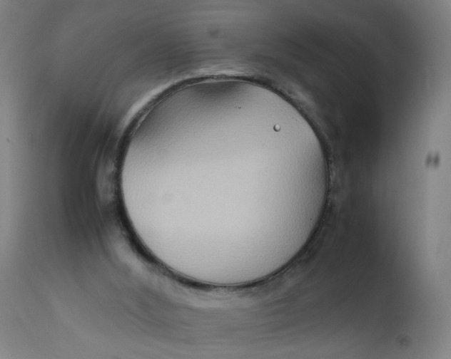 X0000112210012200909041352