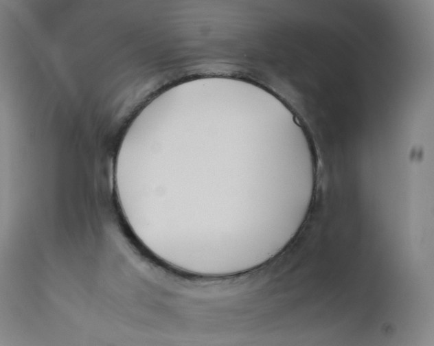 X0000112210013200909041352