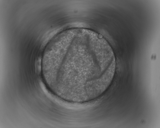 X0000112210014200909041352