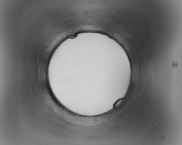 X0000112210015200909041352