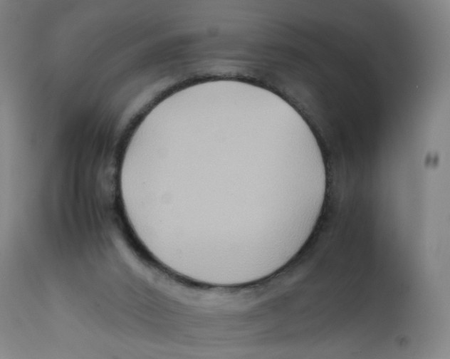 X0000112210016200909041352