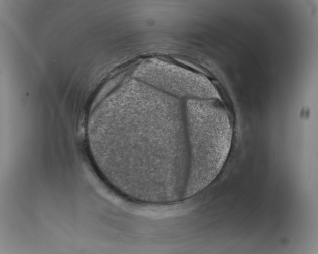 X0000112210017200909041352