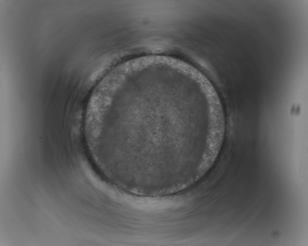 X0000112210018200909041352