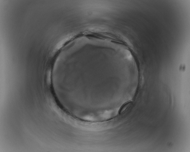 X0000112210019200909041352