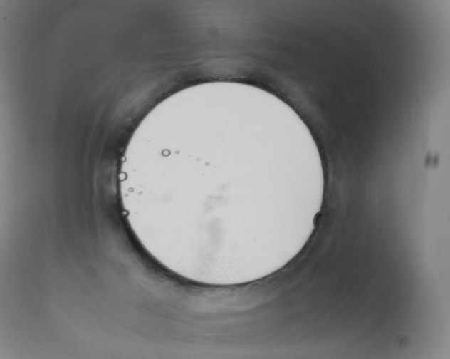 X0000112210021200909041352
