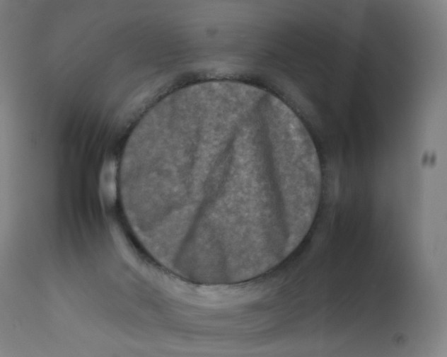 X0000112210022200909041352