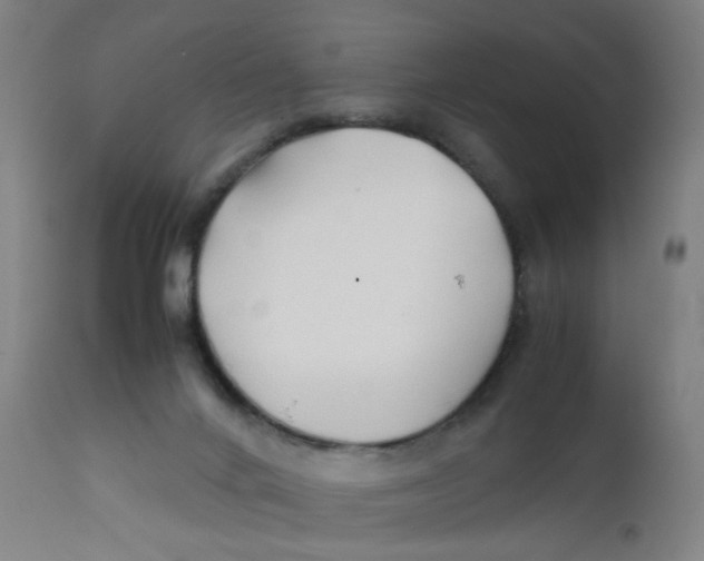 X0000112210024200909041352