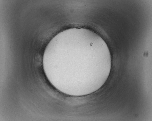 X0000112210025200909041352