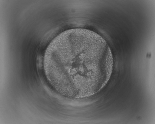 X0000112210026200909041352