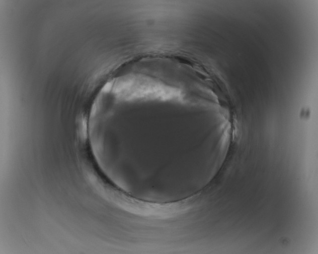 X0000112210027200909041352