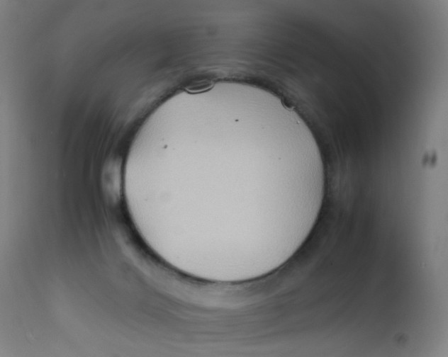 X0000112210028200909041352