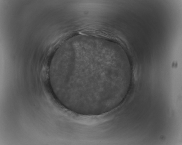 X0000112210029200909041352