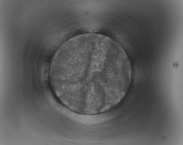 X0000112210030200909041352