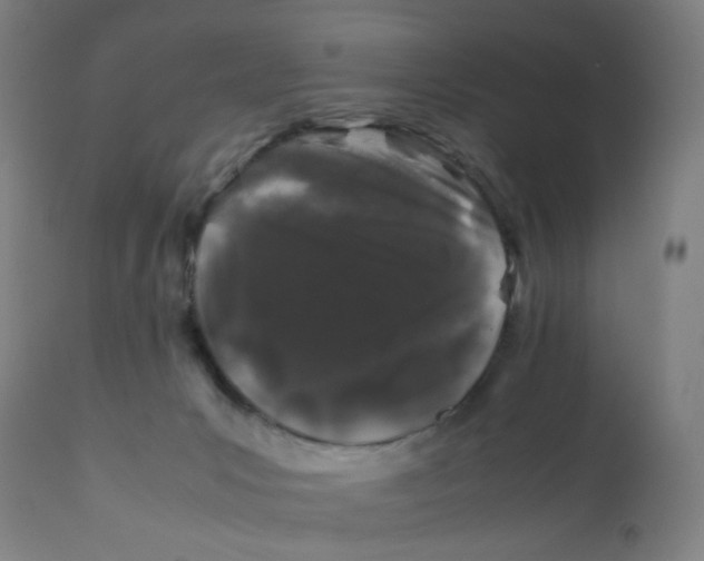 X0000112210031200909041352
