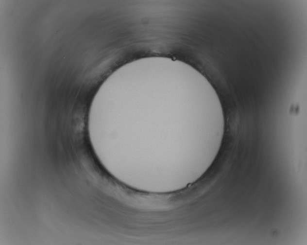 X0000112210032200909041352