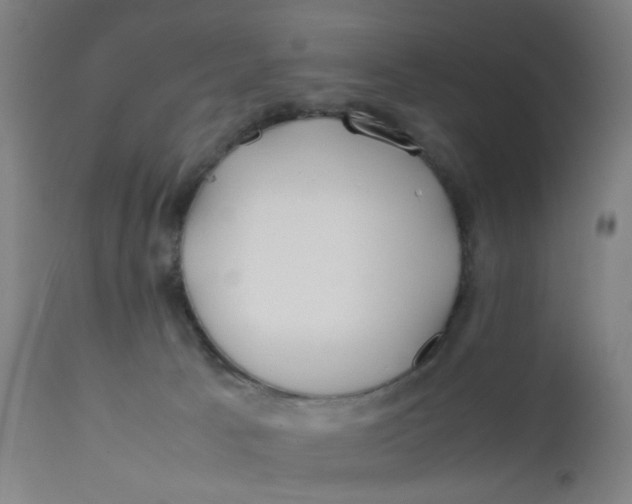X0000112210033200909041352