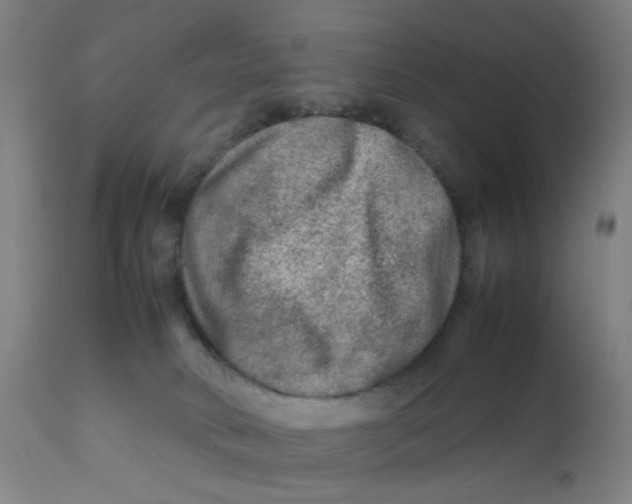 X0000112210034200909041352