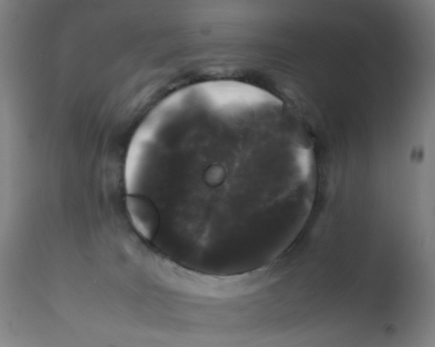 X0000112210035200909041352
