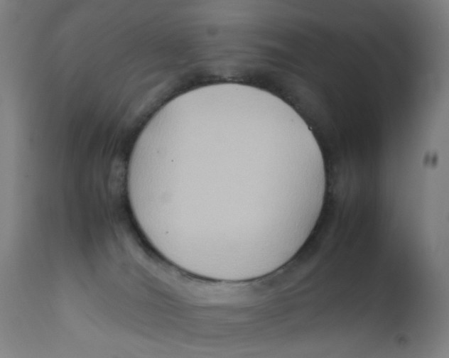X0000112210036200909041352