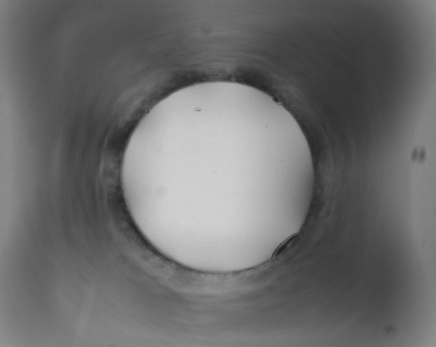 X0000112210037200909041352