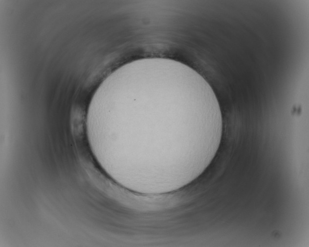 X0000112210038200909041352