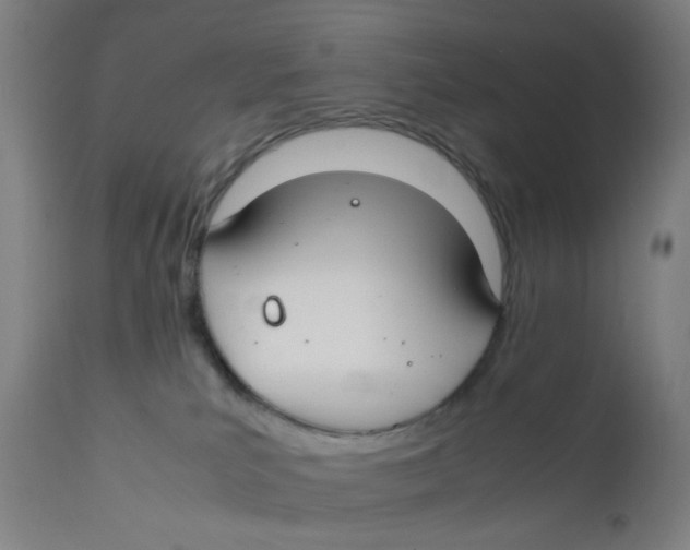X0000112210039200909041352