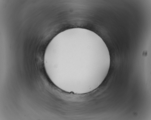 X0000112210040200909041352
