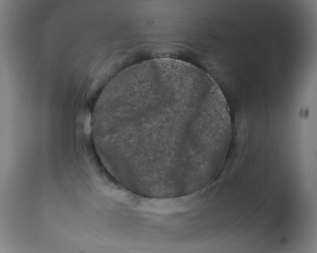 X0000112210041200909041352