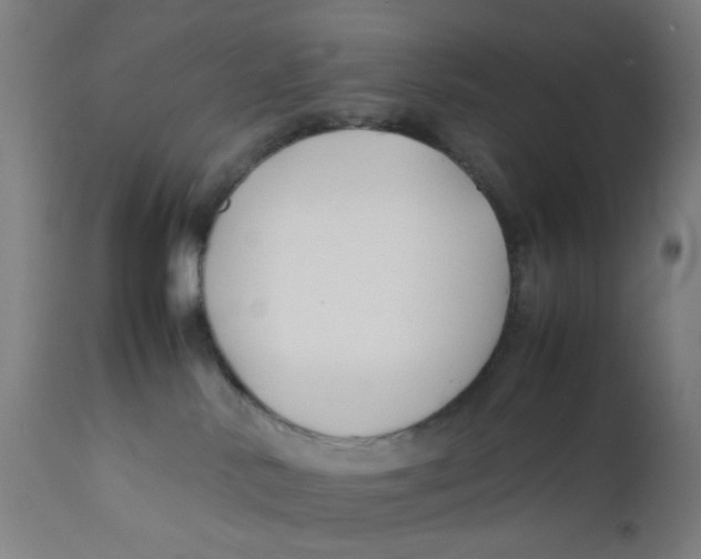 X0000112210042200909041352