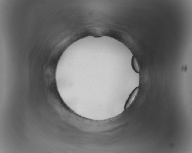 X0000112210043200909041352