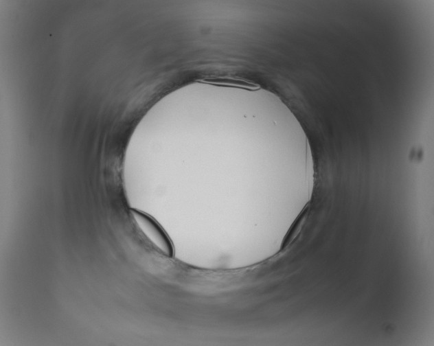 X0000112210045200909041352