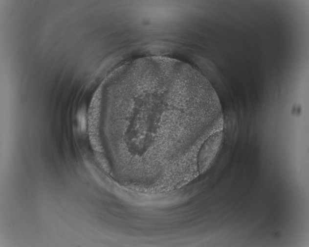 X0000112210046200909041352