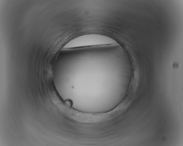 X0000112210048200909041351
