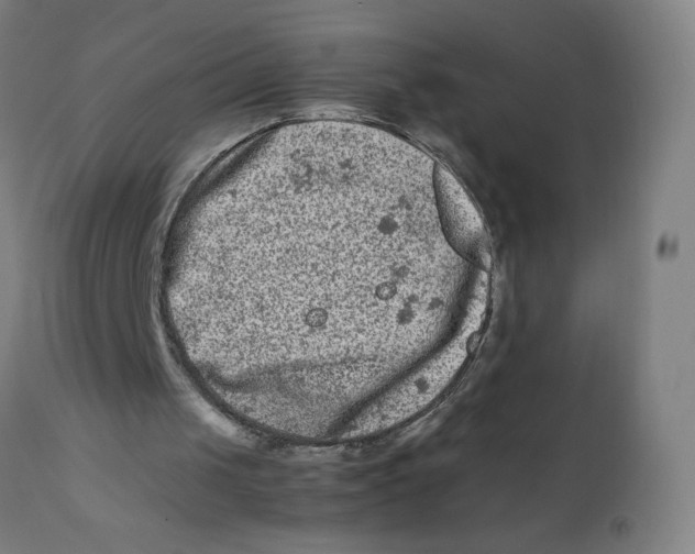 X0000112210049200909041351