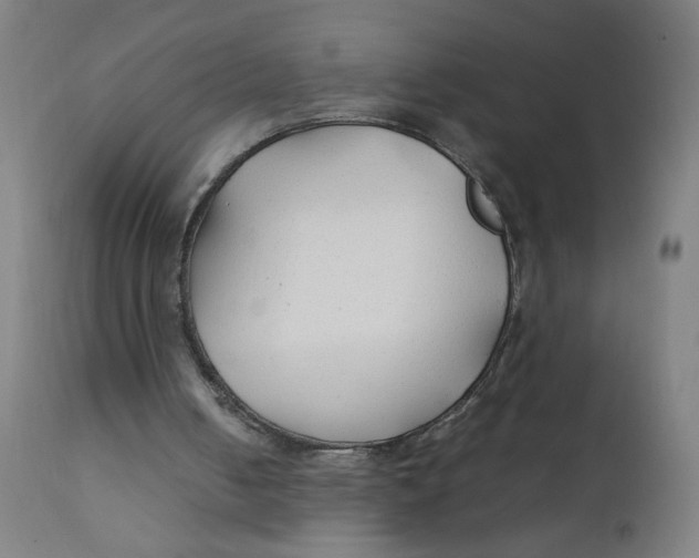 X0000112210050200909041351