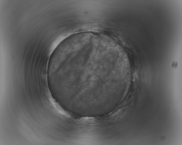 X0000112210052200909041351