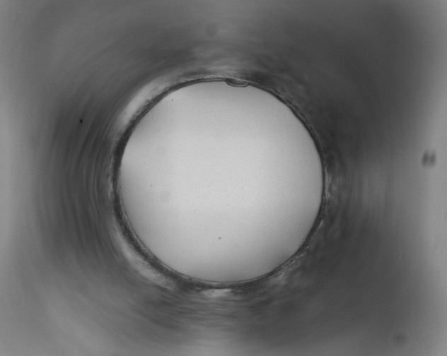 X0000112210054200909041351