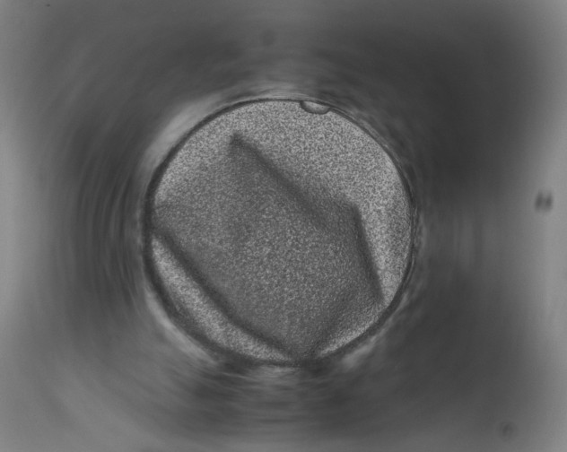 X0000112210055200909041351