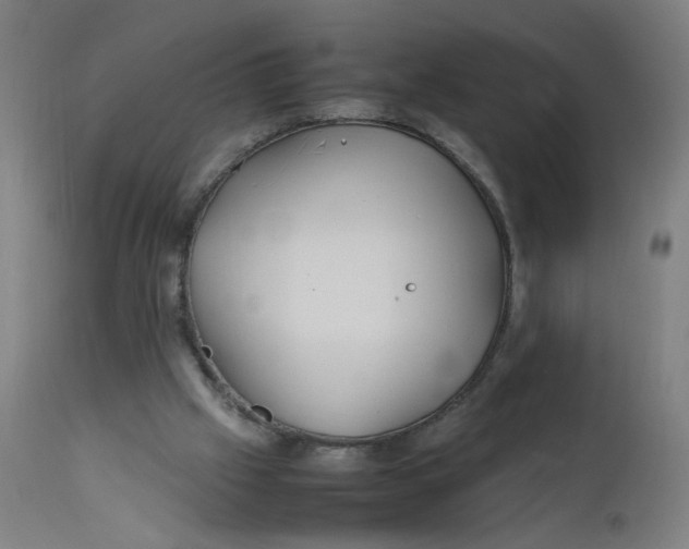 X0000112210057200909041351