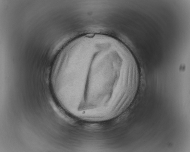 X0000112210058200909041351